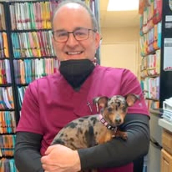 Dr. Cary Najarian, DC — Chiropractor at Najarian Chiropractic